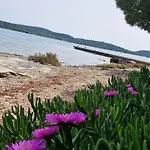 Vi&no Mobile - *