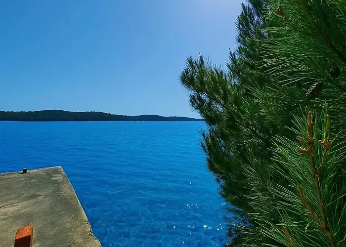 Vi&no Mobile - Appartement