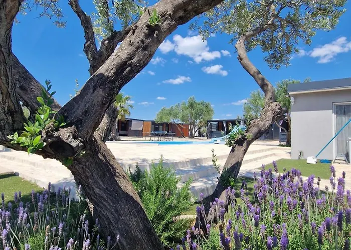 Vi&no Mobile - Pirovac